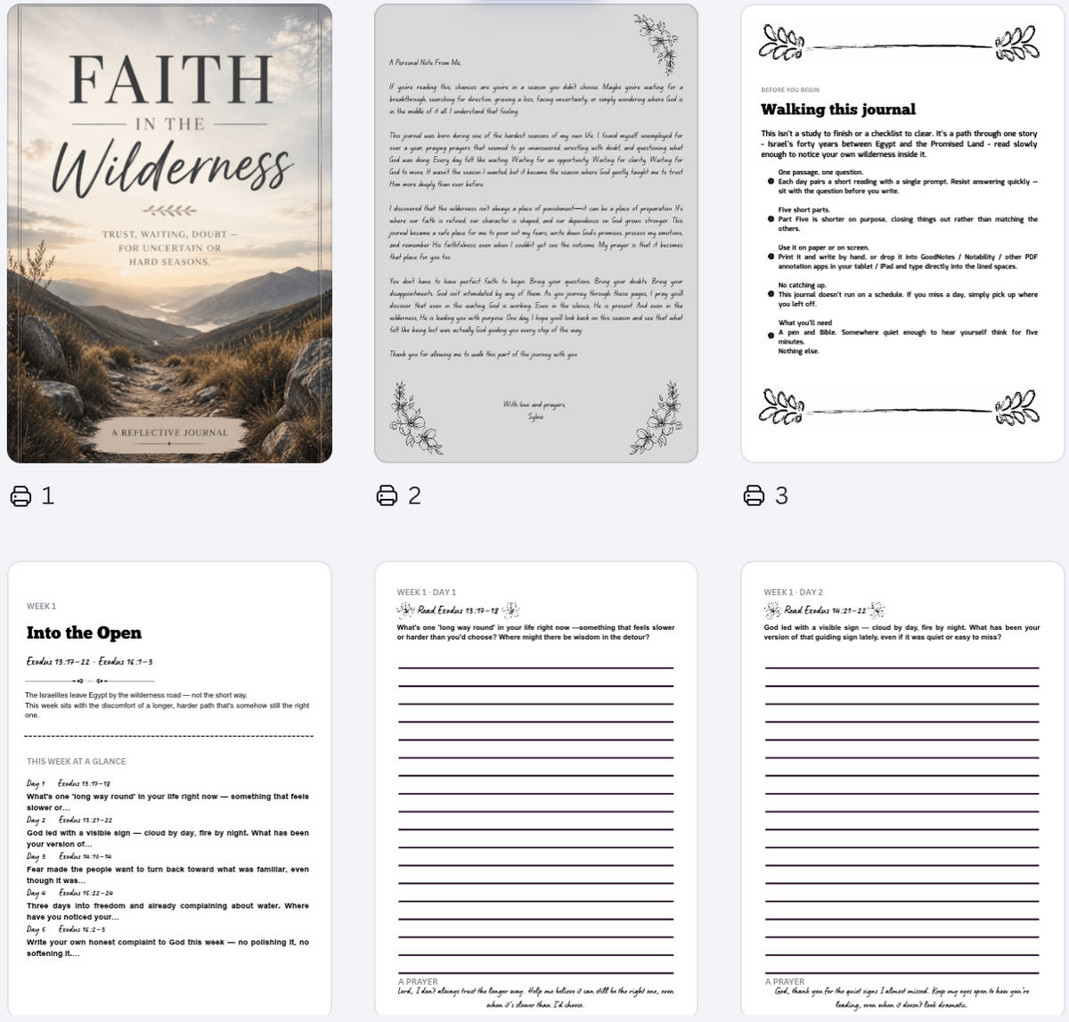 Faith in the Wilderness - A 30-Day Christian Guided Journal for Seasons of Waiting, Trust & Hope