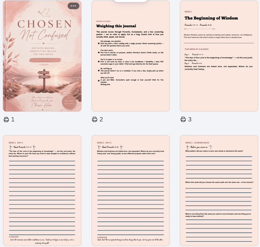 Wisdom & Discernment - A 5-Week Christian Guided Journal