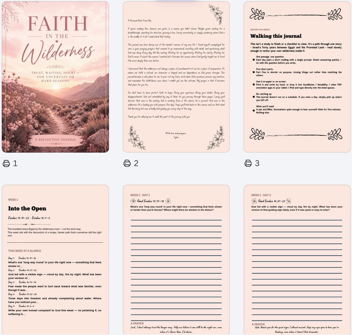 Faith in the Wilderness - A 30-Day Christian Guided Journal for Seasons of Waiting, Trust & Hope