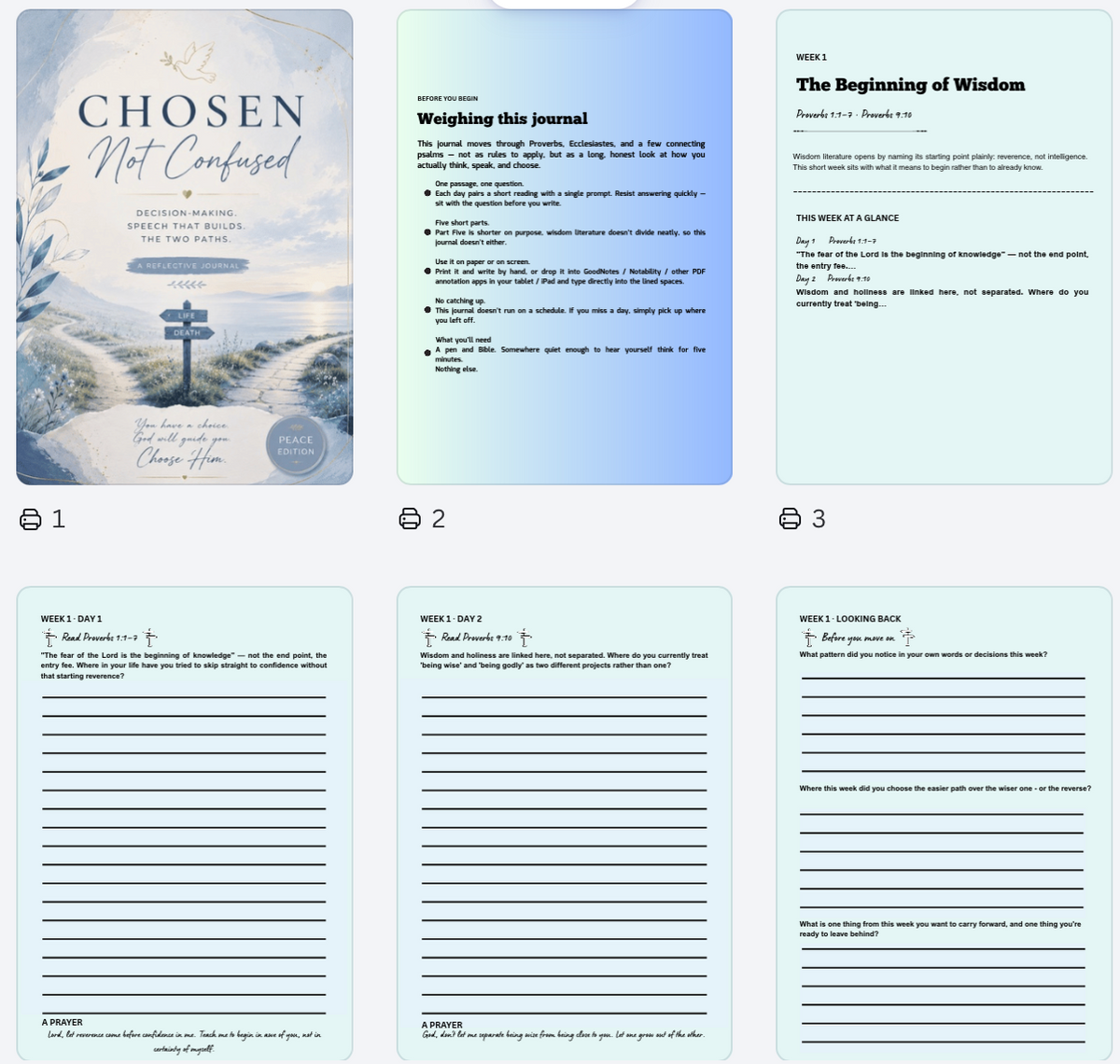 Wisdom & Discernment - A 5-Week Christian Guided Journal