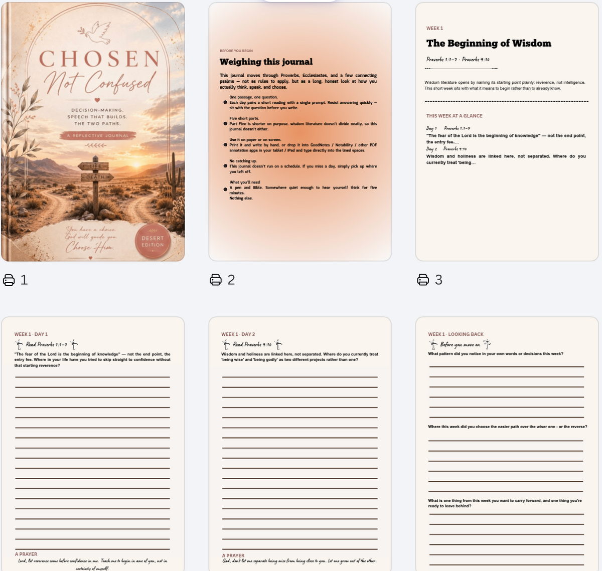 Wisdom & Discernment - A 5-Week Christian Guided Journal