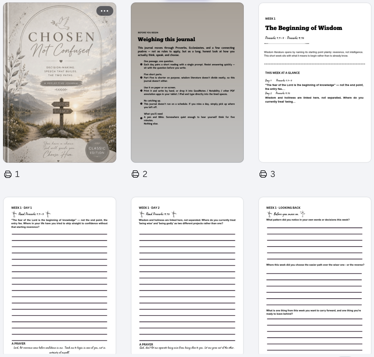 Wisdom & Discernment - A 5-Week Christian Guided Journal